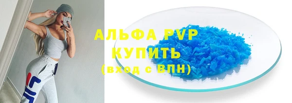 стафф Алзамай