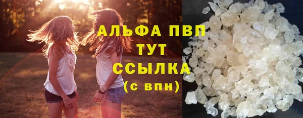 стафф Алзамай